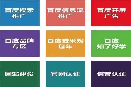 行业翘楚案例：百度竞价代理如何助力企业腾飞